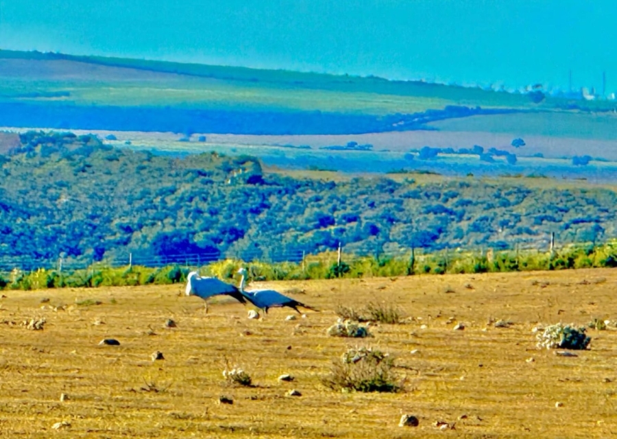 Commercial Property for Sale in Gouritsmond Rural Western Cape